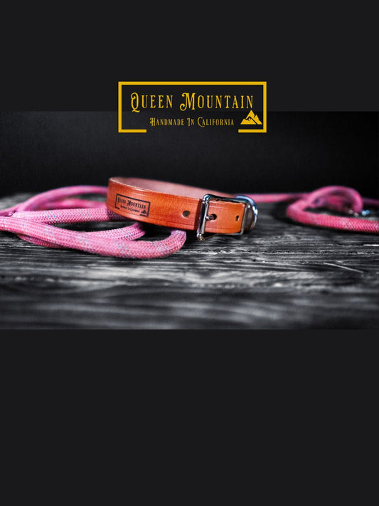 The Cali Premium Leather Dog Collar
