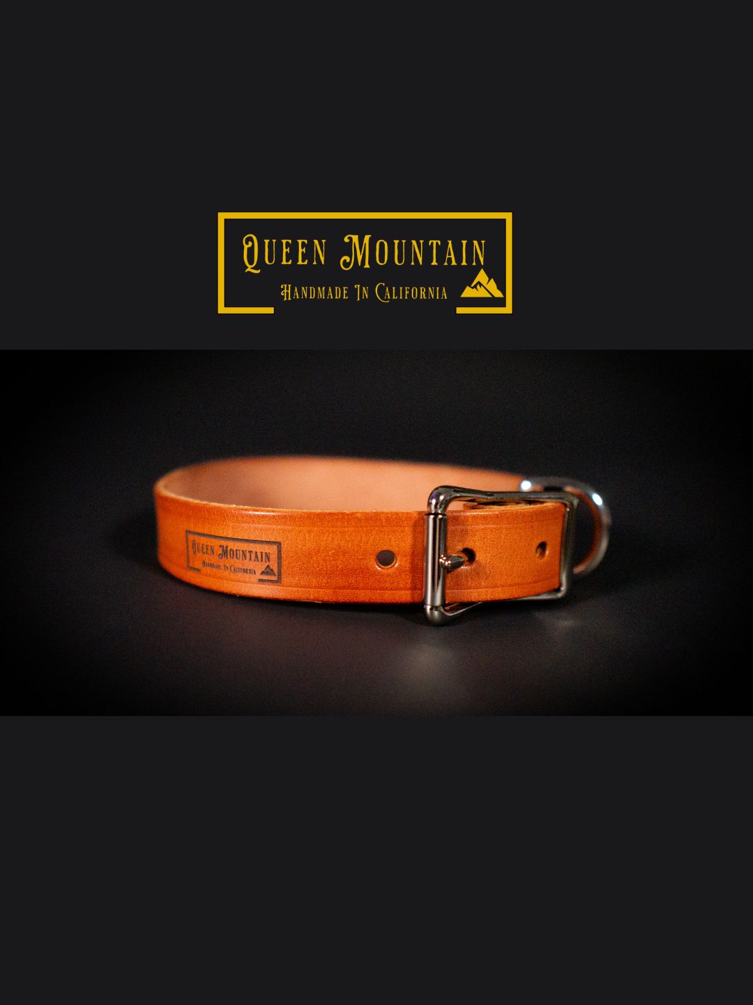 The Cali Premium Leather Dog Collar