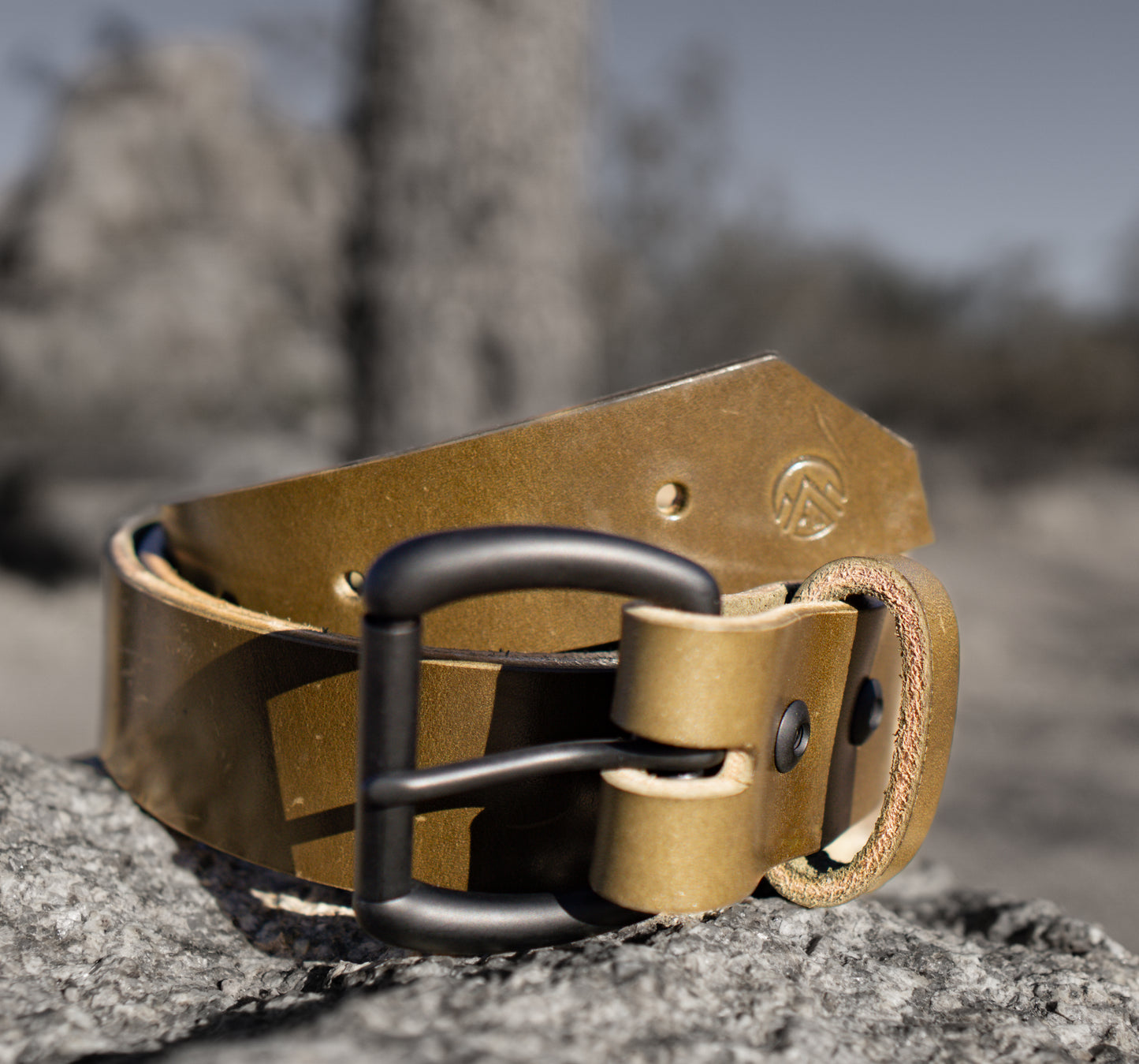 Queen Mountain Leather Traditional Harness Belt